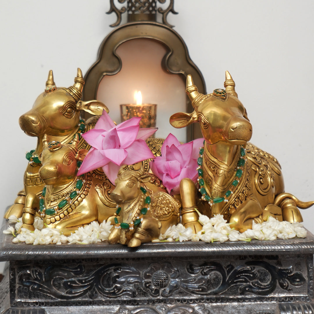 BRASS NANDI